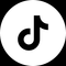 TikTok icon